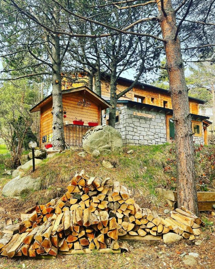 Chalet Pomme De Pin 5 Chambres 12 A 14 Personnes Формигер Экстерьер фото