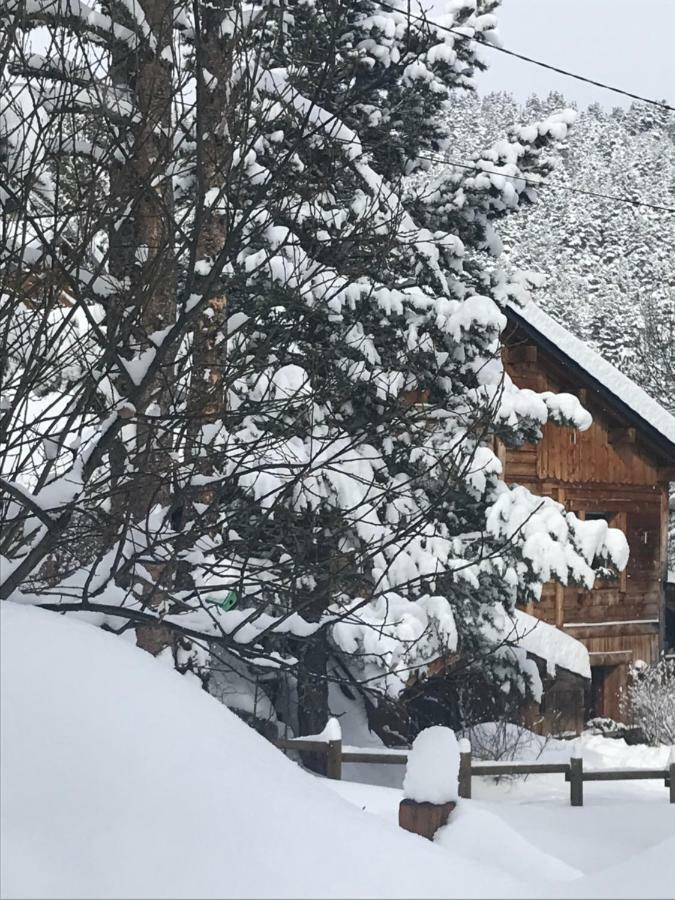 Chalet Pomme De Pin 5 Chambres 12 A 14 Personnes Формигер Экстерьер фото