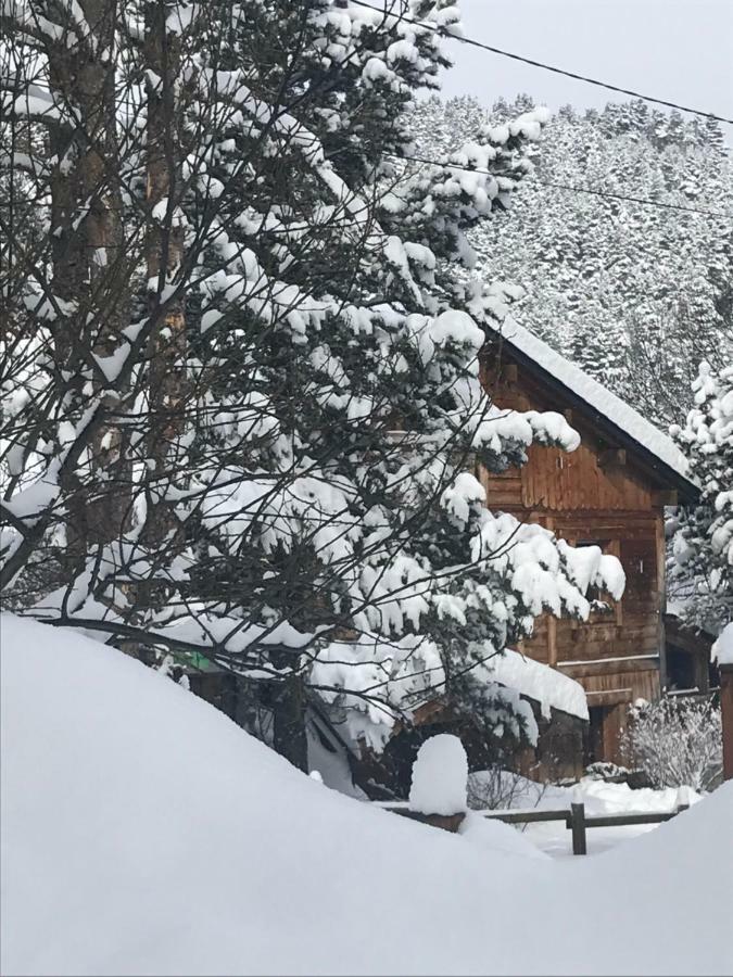 Chalet Pomme De Pin 5 Chambres 12 A 14 Personnes Формигер Экстерьер фото